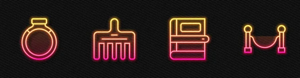 Set Line Book Gold Ring Hairbrush Rope Barrier Glowing Neon — Vector de stoc