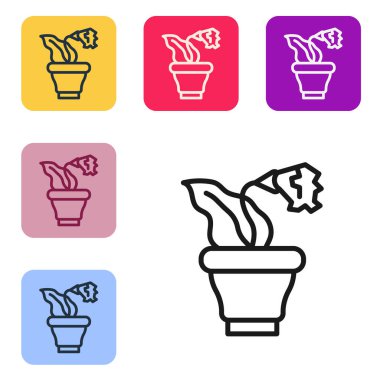 Black line Flower in pot icon isolated on white background. Plant growing in a pot. Potted plant sign. Set icons in color square buttons. Vector.