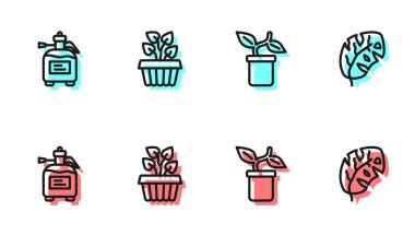 Set line Plant in pot, Garden sprayer for fertilizer, Indoor plant ivy and Tropical leaves icon. Vector.