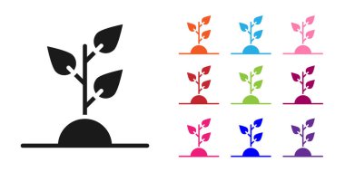 Siyah Gönüllü Ekibi, beyaz arka planda izole edilmiş ağaç ikonu dikiyor. Bitkileri ve ağaçları koruyan ekolojik koruma. Simgeleri renklendirin. Vektör.