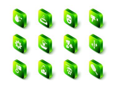 Aroma mumu yüz maskesi saç kurutma, bambu fırça, meşe yaprağı duş ve votka ikonu hazırla. Vektör.