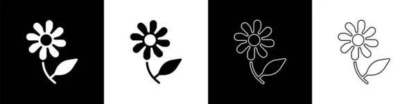 Imposta Icona Fiore Isolato Sfondo Bianco Nero Dolce Cibo Naturale — Vettoriale Stock