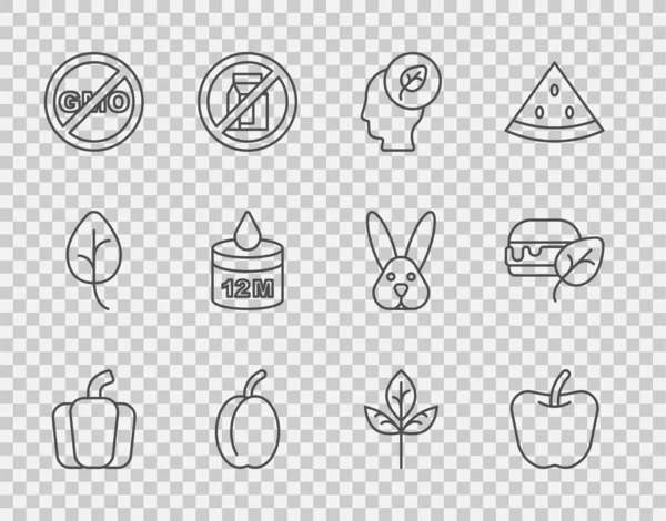 设置线甜椒苹果人头与李子里面的叶子没有Gmo有机化妆品叶子或叶子和素食图标 — 图库矢量图片