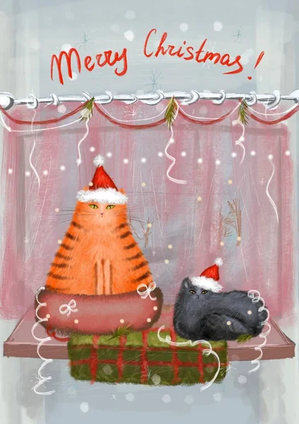 Vrolijk Kerstgroet Winterkaart Met Schattige Pluizige Katten Rode Santa Hoeden — Stockfoto