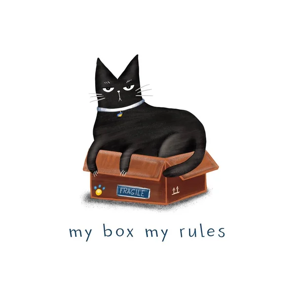 Cartoon black cat in a box and the inscription \