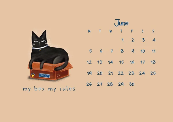 Cartoon Black Cat Box Inscription Box Rules Calendar 2023 June — 스톡 사진