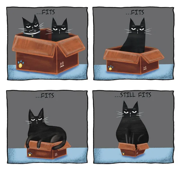 Comic Cute Cats Comics Storyboard Funny Black Cat — 스톡 사진
