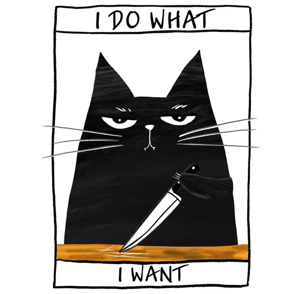 Plakat Zabawnym Czarnym Kotem Napisem Robię Chcę — Zdjęcie stockowe