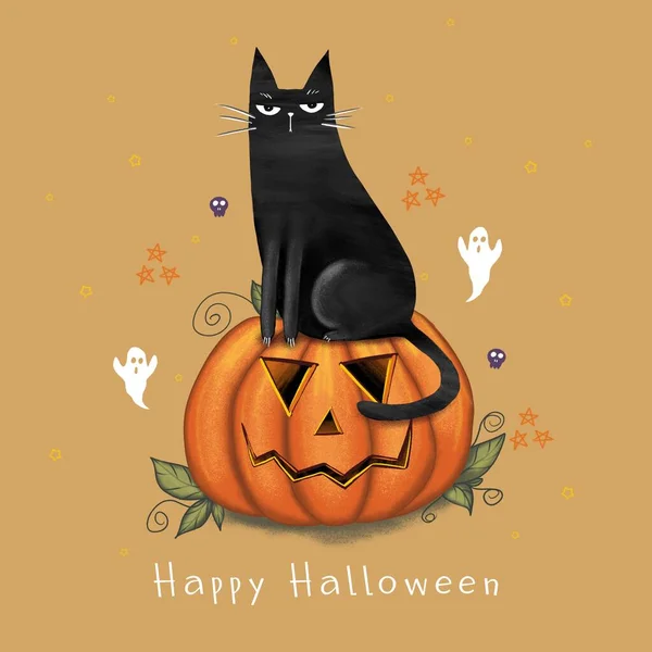 Happy Halloween Greeting Card Cute Black Cat Spooky Pumpkin Animal — Stock Photo, Image