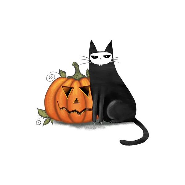 Halloween cute black cat and spooky pumpkin in white background. Animal holidays cartoon character. Digital hand drawn illustration