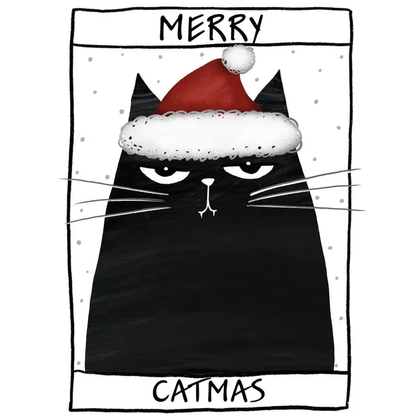 Vrolijk Kerstkaartje Spandoek Met Een Zwarte Kat Met Kerstmuts Grappige — Stockfoto