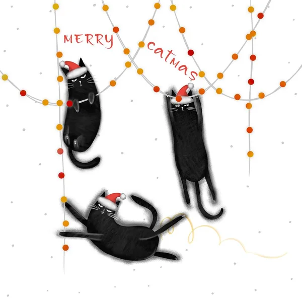 Vrolijk Kerstkaartje Spandoek Met Een Zwarte Kat Met Kerstmuts Grappige — Stockfoto
