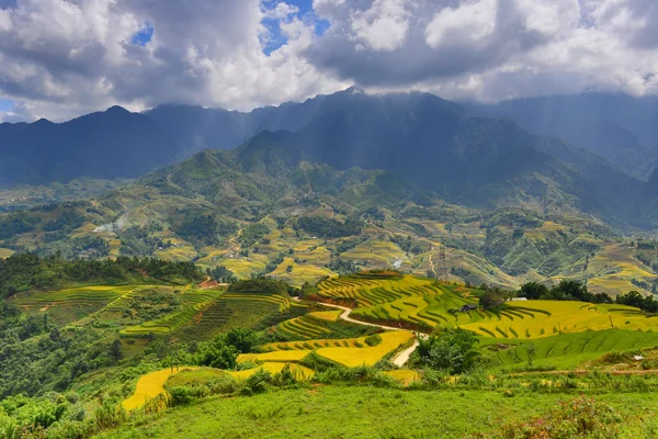 Terras rijst veld en uitzicht op de bergen, sapa, vietnam — Stockfoto