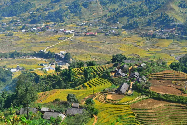 Terrace rice field and mountain view, Sapa, Vietnam — Stock Photo, Image