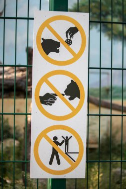 Büyük benekli kedi hayvanat bahçesinde kilitli.