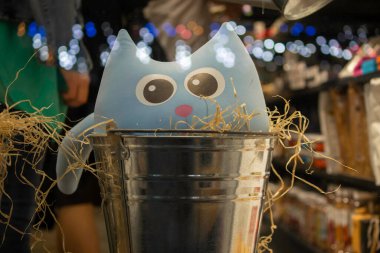 Lambaların altında vitrindeki sevimli mavi kedi