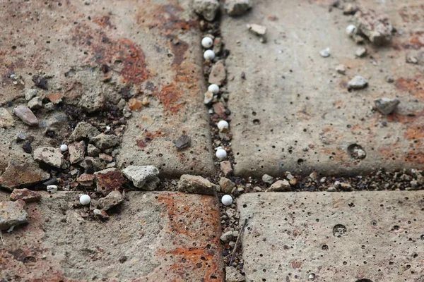 Old Tiles Ground Rust Dust White Plastic Airsoft Balls — Stock Photo, Image