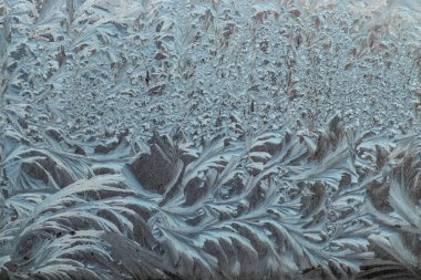 Camdaki buz deseni, camdaki güzel kış deseni.