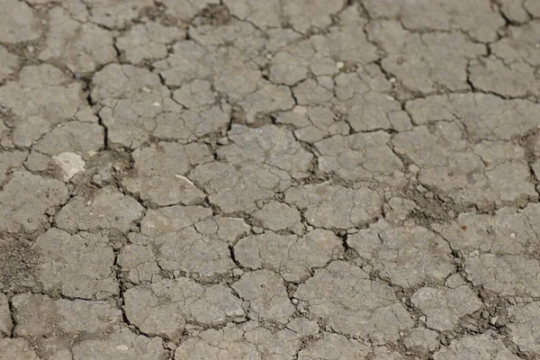 cracked dry ground, dry soil background