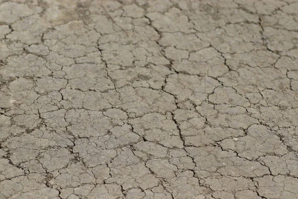 cracked dry ground, dry soil background
