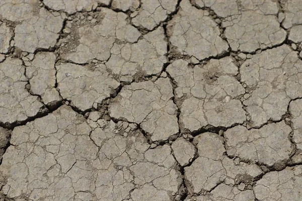 cracked dry ground, dry soil background