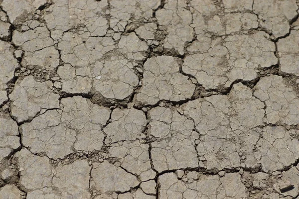 cracked dry ground, dry soil background