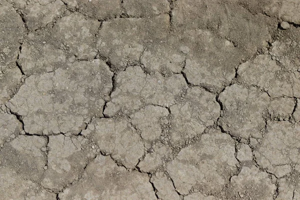 cracked dry ground, dry soil background