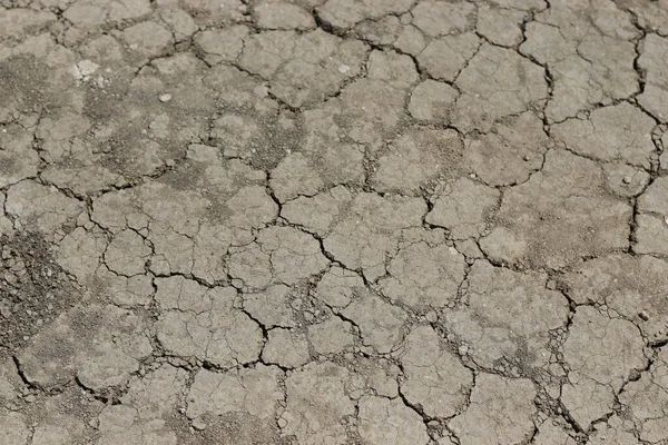 cracked dry ground, dry soil background