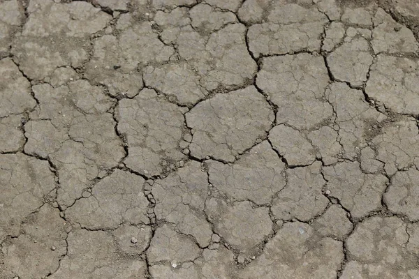 cracked dry ground, dry soil background