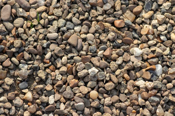 Yerdeki Küçük Kahverengi Çakıl Taşları Her Şeyi Kaplar — Stok fotoğraf
