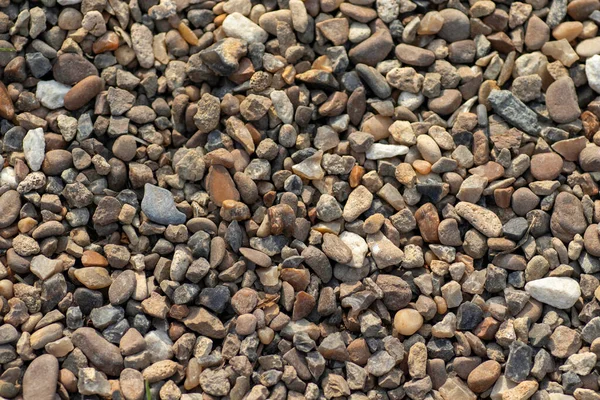 Yerdeki Küçük Kahverengi Çakıl Taşları Her Şeyi Kaplar — Stok fotoğraf