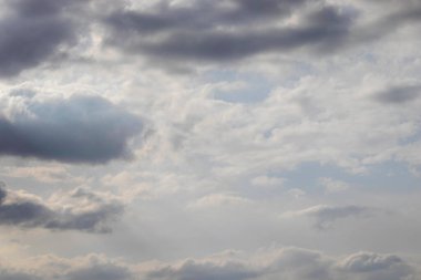 Beyaz gri bulutlar, ormanın üzerindeki parlak güneş tarafından aydınlatılmış.