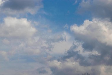 Beyaz gri bulutlar, ormanın üzerindeki parlak güneş tarafından aydınlatılmış.