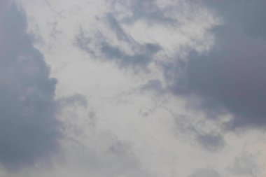 Beyaz gri bulutlar, ormanın üzerindeki parlak güneş tarafından aydınlatılmış.