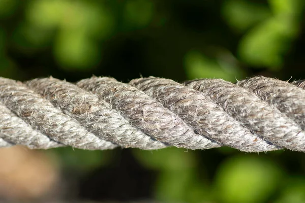 Corda Spessa Intrecciata Vicino Corda Fibra — Foto Stock