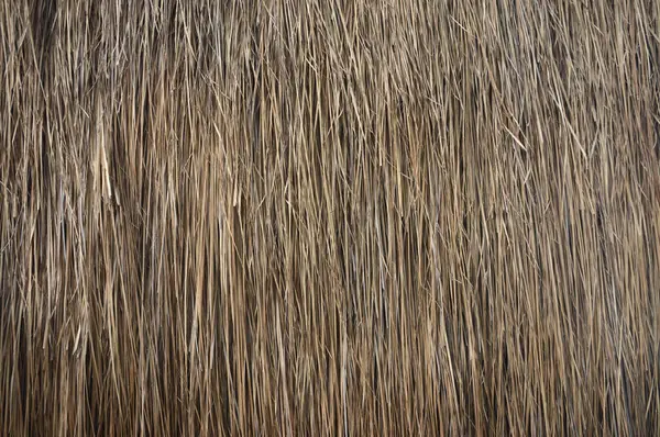 乾燥した草の屋根の背景 自然な茶色の草の表面 — ストック写真