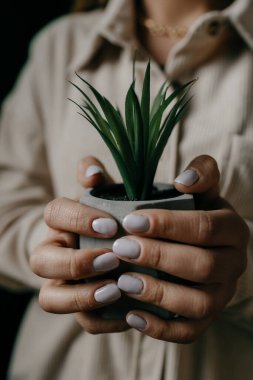 Elinde yeşil bir saksı tutan kadın