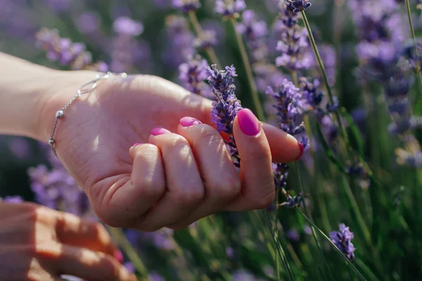 Summer Touch Pink Manicure Lavender Field High Quality Photo — Stockfoto