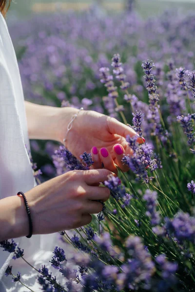 Summer Touch Pink Manicure Lavender Field High Quality Photo — Stockfoto