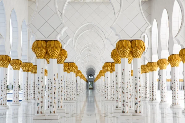 보기 열 셰이크 자 예 드 모스크