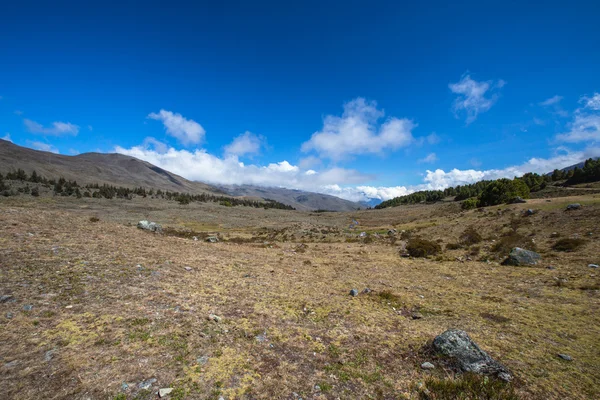 dağlar tr merida. Andes. Venezuela