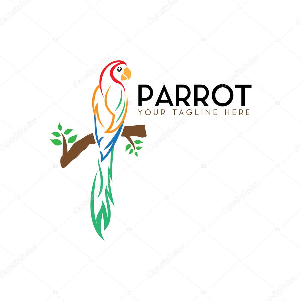Parrot logo perched on single branch design inspiration, color full bird, vector template in white background