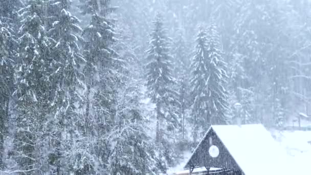 Blizzard Heavy Snow Storm Detailin Video Wild Falling Snowflakes Wind — Stock Video