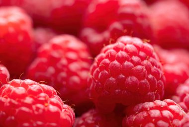 Arka planda taze olgun kırmızı ahududular var. Sağlıklı organik yiyecekler, yaz vitaminleri, BIO virüsleri, doğal arka plan. Reklam metniniz için alanı kopyalayın.