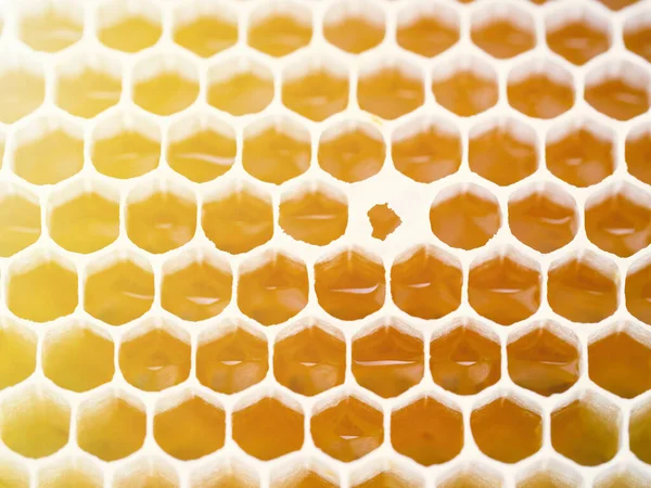 Bijenteelt Close Van Cellen Gevuld Met Honing Achtergrond Textuur Patroon — Stockfoto