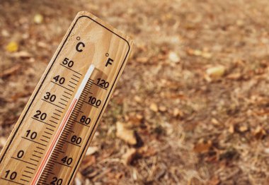 Wooden thermometer with red measuring liquid showing high temperatures over 36 degrees Celsius on sunny day on background of dry lawn. Concept of heat wave, warm weather, global warming, climate.