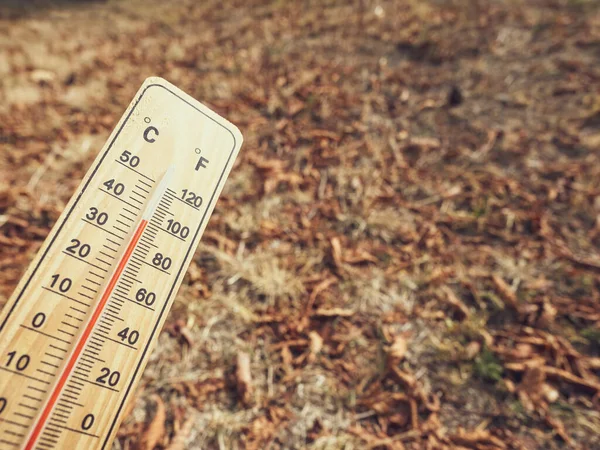 Wooden Thermometer Red Measuring Liquid Showing High Temperatures Degrees Celsius — ストック写真