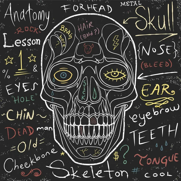 Vector Ilustración Cráneo Con Letras Dibujadas Mano Tee Gráfico Pared — Archivo Imágenes Vectoriales