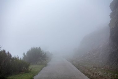 Sonbahar ve sisli bir ormanda hiçliğe giden yol