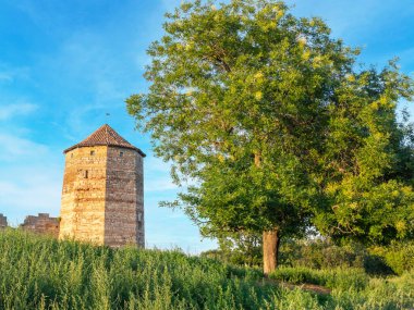 Akkerman Kalesi 'nin kalıntıları. Bilhorod-Dnistrovskyi kalesi, Ukrayna. Güneşli bir yaz gününde kalenin dışındakiler.